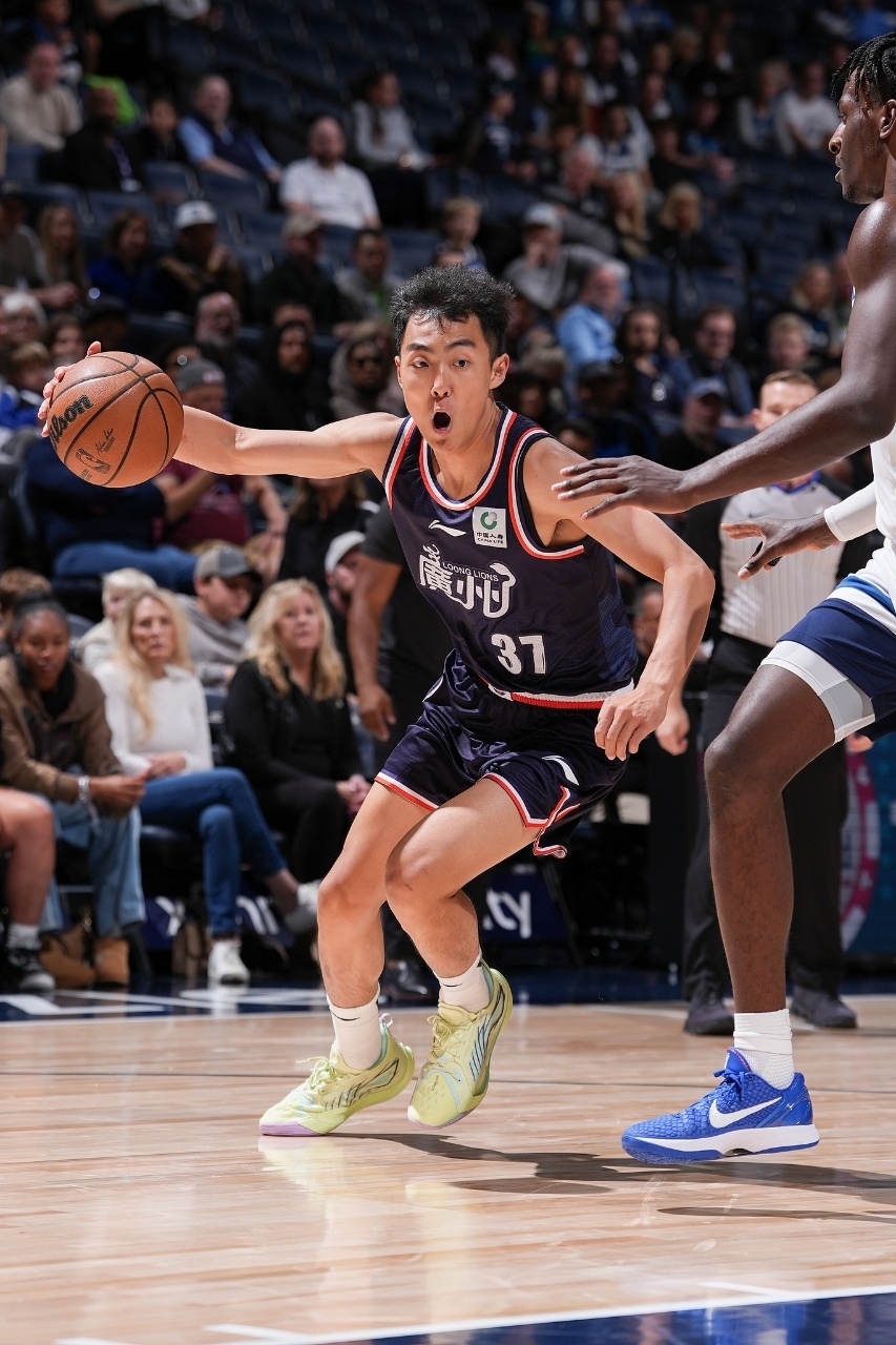 森林狼随后 森林狼随后